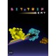 BIT.TRIP BEAT Steam CD Key