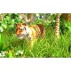 Wildlife Park 3 Steam CD Key