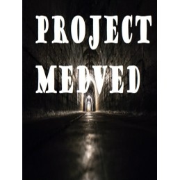 Project Medved Steam CD Key