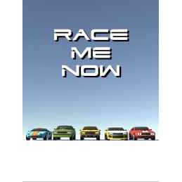 Race me now Steam CD Key