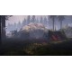 BIGFOOT Steam Account