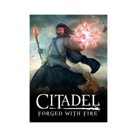 Citadel: Forged with Fire Steam CD Key