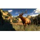 Cabela's Hunting Expeditions US Steam CD Key