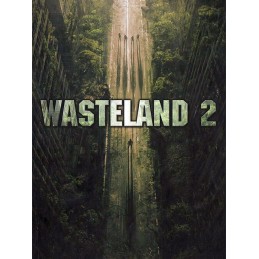 Wasteland 2 EU Steam CD Key