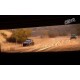 DiRT 2 Steam Gift