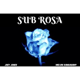 Sub Rosa Steam CD Key