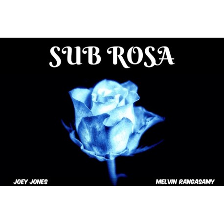 Sub Rosa Steam CD Key