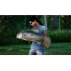 Fishing Sim World: Pro Tour - Laguna Iquitos DLC Steam CD Key