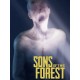 Sons Of The Forest Steam Account