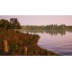 Bassmaster Fishing 2022 - Jordan Lake DLC Steam CD Key