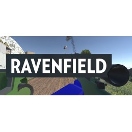 Ravenfield Steam Account