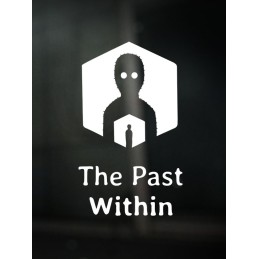 The Past Within Steam Account