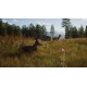 Way of the Hunter RoW Steam CD Key