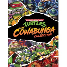 Teenage Mutant Ninja Turtles: The Cowabunga Collection TR Steam CD Key