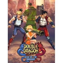 Double Dragon Gaiden: Rise Of The Dragons PC Steam CD Key