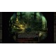 Icewind Dale: Enhanced Edition Steam CD Key