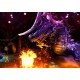 Trine 2 Steam CD Key