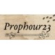 Prophour23 Steam CD Key