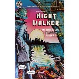 Nightwalker PC Steam CD Key