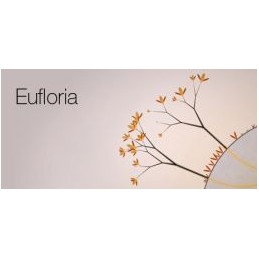 Eufloria HD Steam CD Key