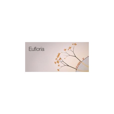 Eufloria HD Steam CD Key