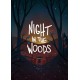 Night in the Woods Epic Games Account