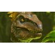 ARK: Survival Ascended Steam CD Key