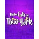 Hidden Cats in New York Steam CD Key