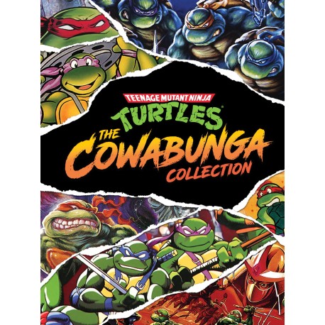 Teenage Mutant Ninja Turtles: The Cowabunga Collection EU Steam CD Key