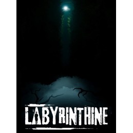 Labyrinthine EU Steam CD Key