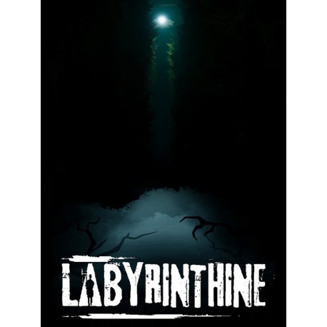 Labyrinthine EU Steam CD Key