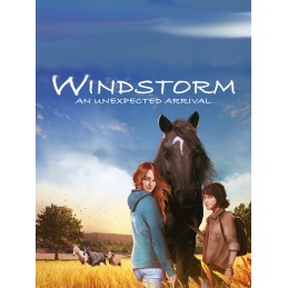 Windstorm: An Unexpected Arrival EU Nintendo Switch CD Key