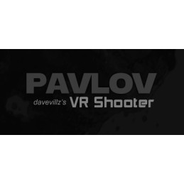 Pavlov VR PS5 Account