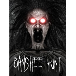 Banshee Hunt Steam CD Key