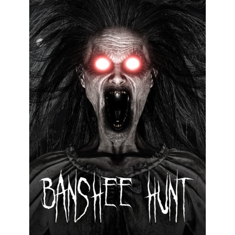 Banshee Hunt Steam CD Key