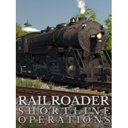 Railroader PC Steam Account