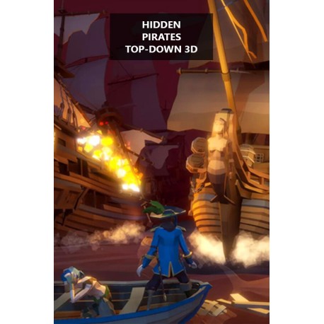 Hidden Pirates Top-Down 3D PC Steam CD Key