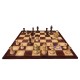 Fritz Chess 14 PC Steam Account