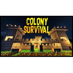 Colony Survival PC Steam Account