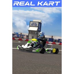 Real Kart PC Steam Account