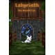 Labyrinth: The Wizard's Cat PC Steam CD Key