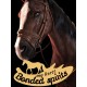 My Horse: Bonded Spirits PC Steam CD Key