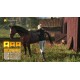 My Horse: Bonded Spirits PC Steam CD Key