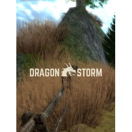 Dragon Storm PC Steam CD Key