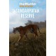 theHunter: Call of the Wild - Sundarpatan Nepal Hunting Reserve DLC PC Steam CD Key