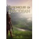 Chronicles Of Errodean PC Steam CD Key