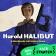 Harold Halibut PC Steam Account