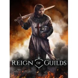 Reign of Guilds PC Steam Account