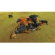 Animal Revolt Battle Simulator PC Steam Account