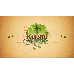 Kynseed PC Steam Account